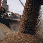 Румунія і Польща повідомили про відсутність готовності збільшувати транзит українського зерна через свої кордони