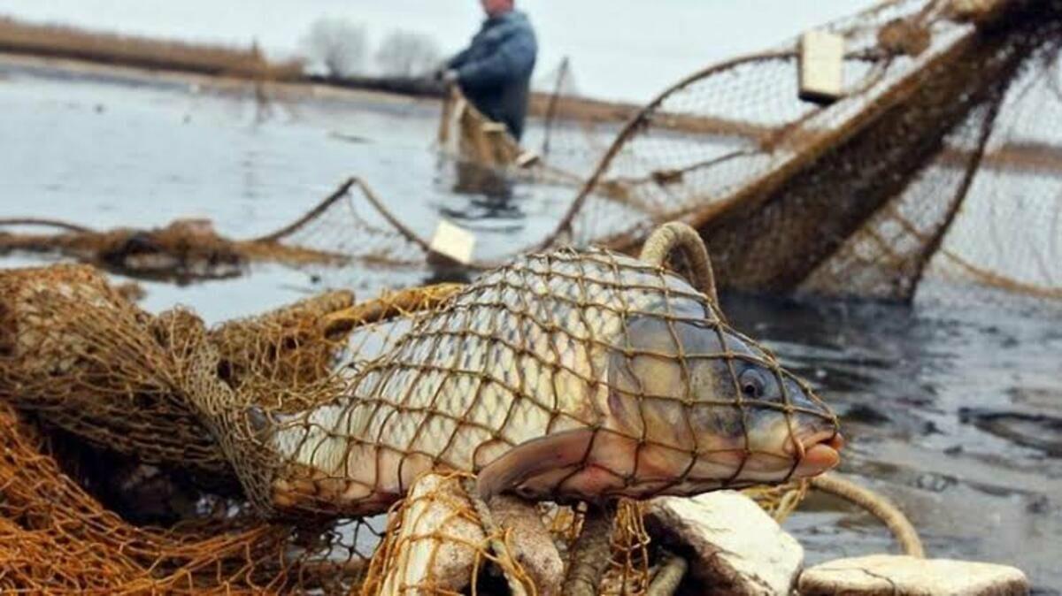 Справу про масовий незаконний вилов близько сотні риб у «Тузлівських лиманах» на Одещині направили до суду