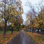 У Чорноморську похолодало, до кінця тижня очікуються дощі