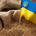 Українські сільгоспвиробники можуть зіткнутися з втратою $10 млрд через заборону експорту