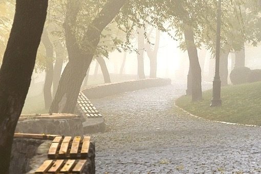 В Одесі 8 жовтня прогнозують густий туман — оголошено жовтий рівень небезпеки