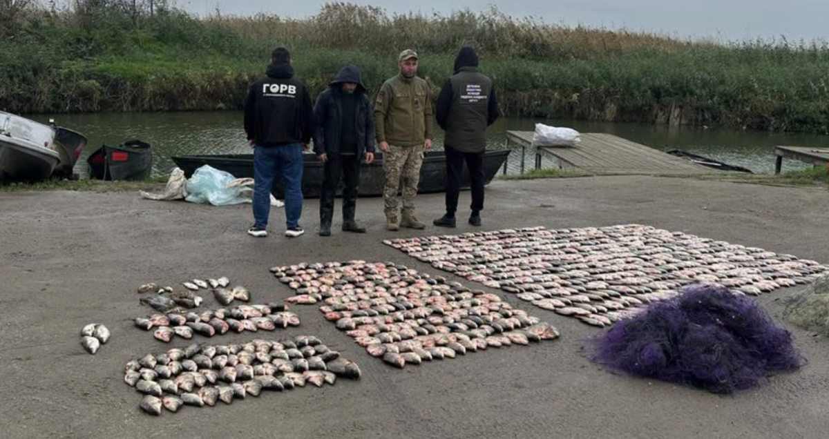 В Одеській області нелегальний рибалка здійснив вилов на суму понад 1,39 млн грн — що виявили в його знаряддях