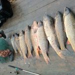 В Одеській області затримали браконьєра за вилов на ямі для зимівлі риби, у якого знайшли «драч»