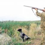 В Одеській області затвердили полювання у зв’язку зі збільшенням популяції хижаків: конкретне місце