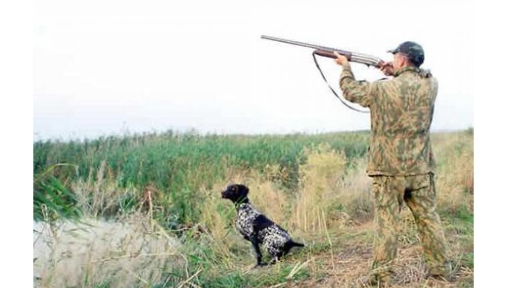В Одеській області затвердили полювання у зв’язку зі збільшенням популяції хижаків: конкретне місце